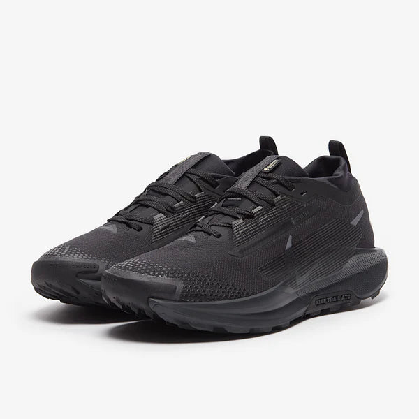 Nike pegasus trail 5 GORE-TEX