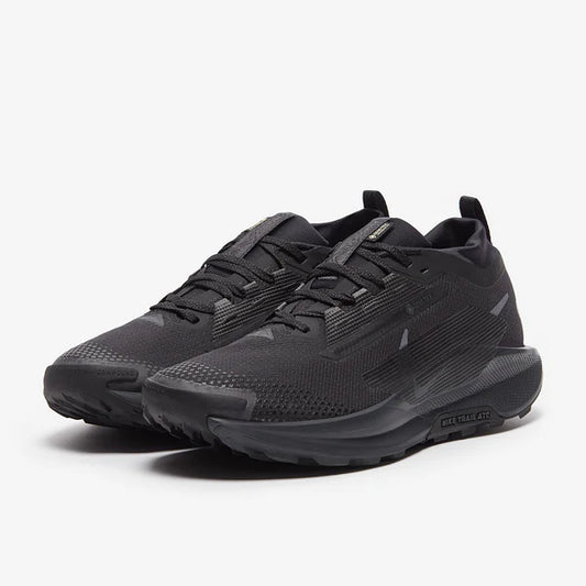 Nike pegasus trail 5 GORE-TEX