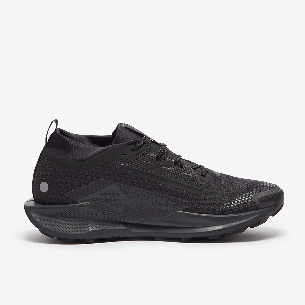 Nike pegasus trail 5 GORE-TEX