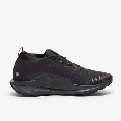 Nike pegasus trail 5 GORE-TEX