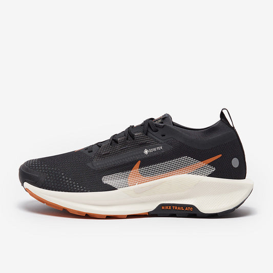 Nike Pegasus Trail 5 GORE-TEX