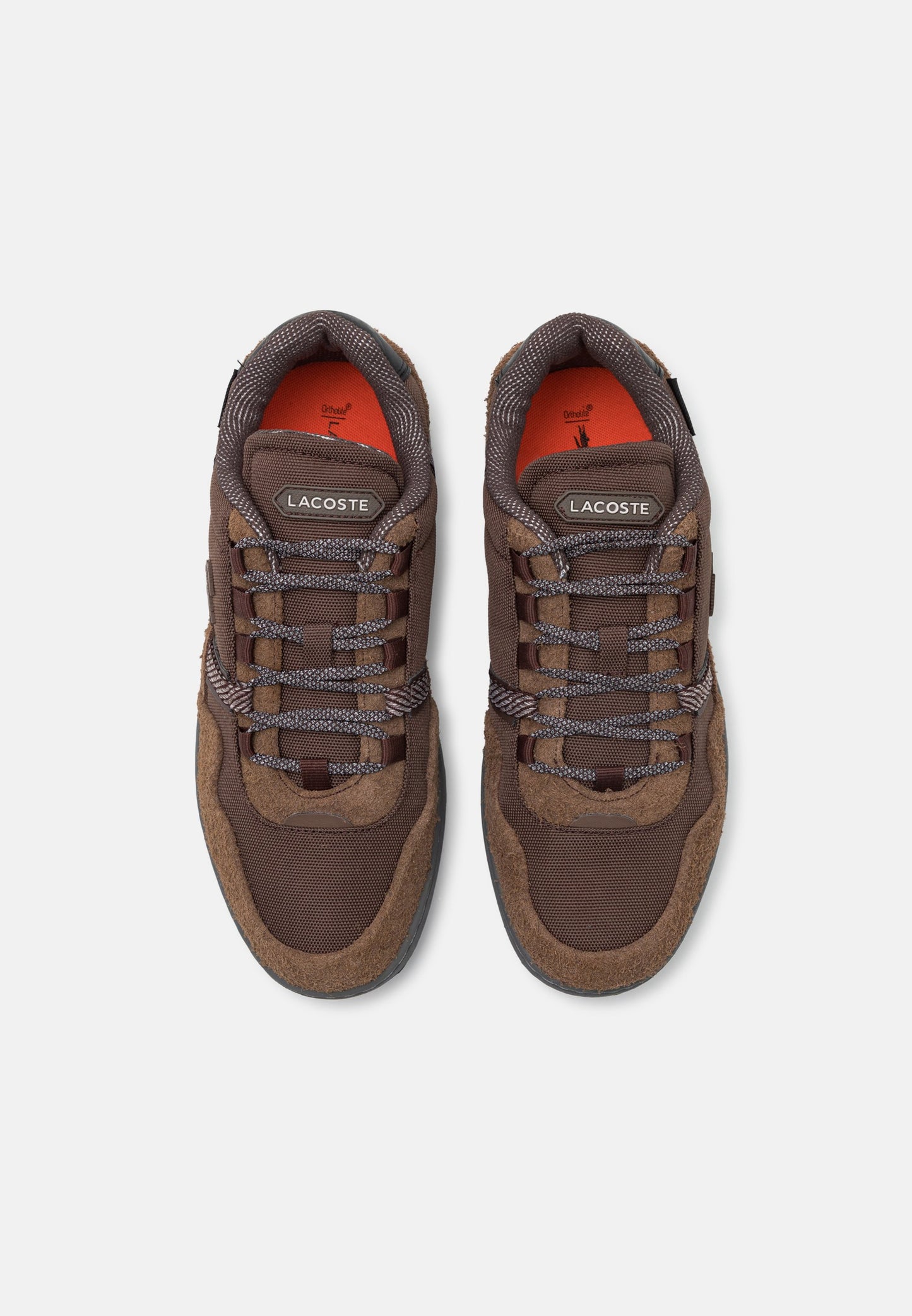 T-CLIP WNTR 224 - Baskets basses - brown/dark grey