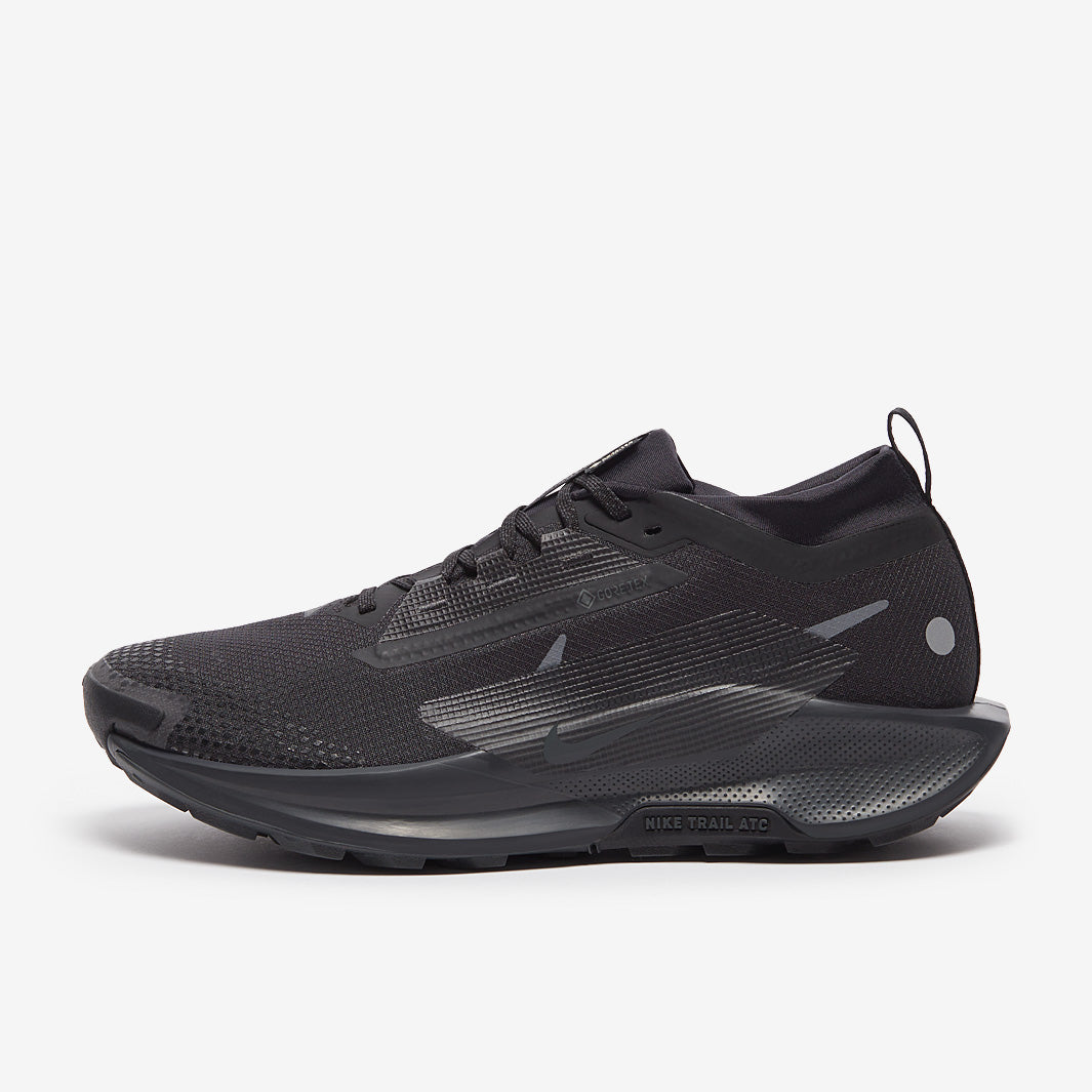 Nike pegasus trail 5 GORE-TEX