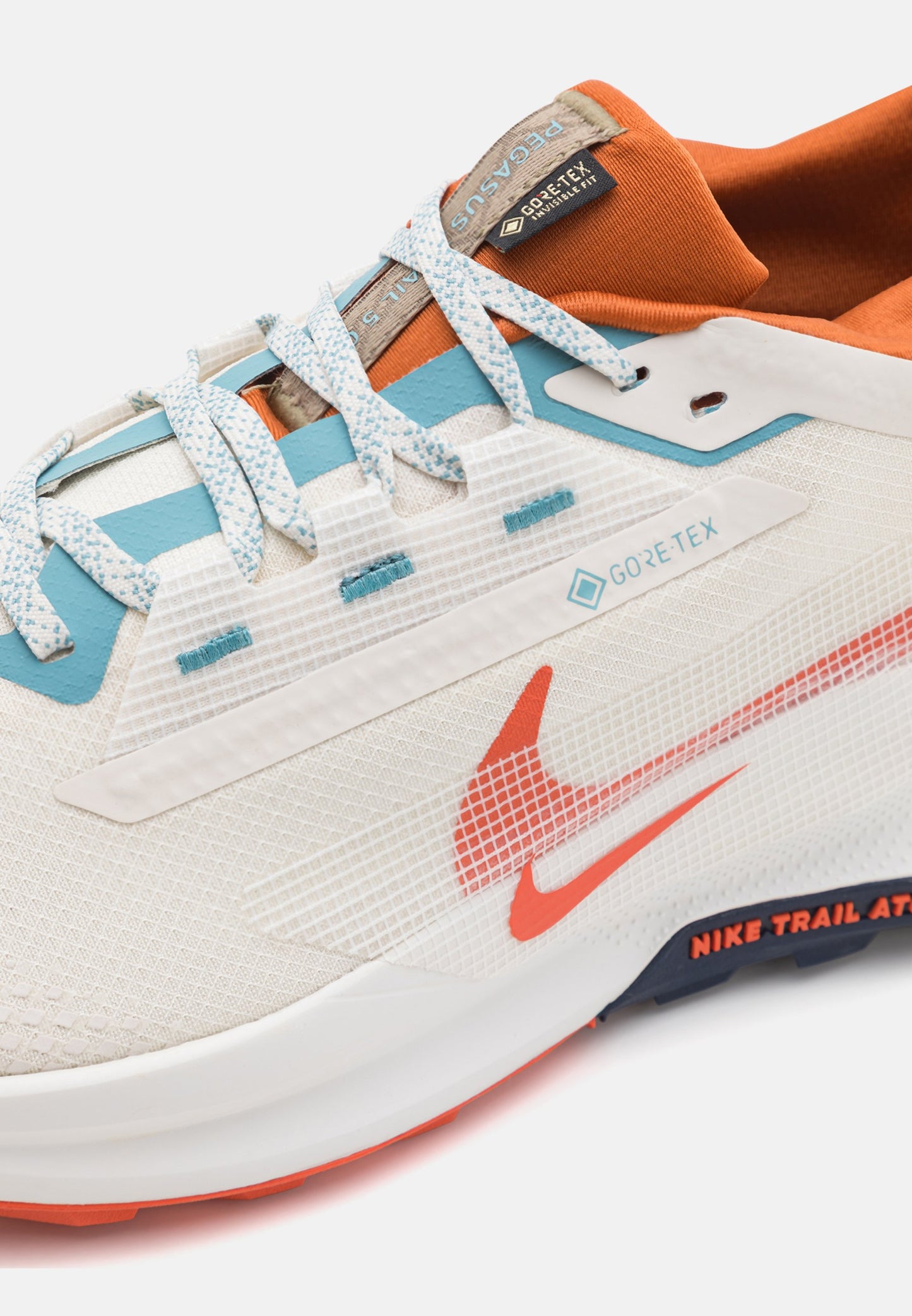 Nike Pegasus Trail 5 GORE-TEX